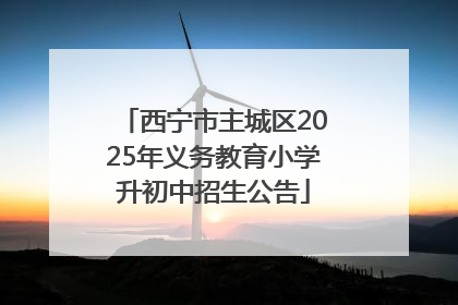 西宁市主城区2025年义务教育小学升初中招生公告