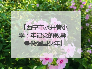 西宁市水井巷小学：牢记党的教导 争做强国少年