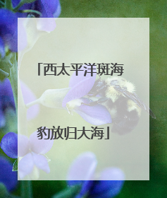 西太平洋斑海豹放归大海