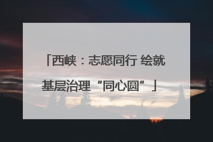 西峡：志愿同行 绘就基层治理“同心圆”