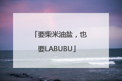 要柴米油盐，也要LABUBU