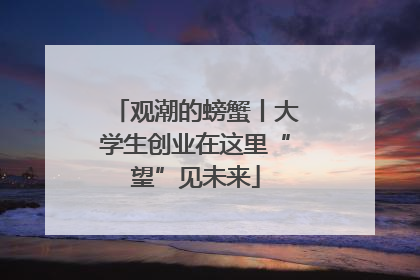 观潮的螃蟹丨大学生创业在这里“望”见未来