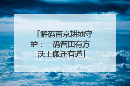 解码南京耕地守护：一码管田有方 沃土搬迁有道