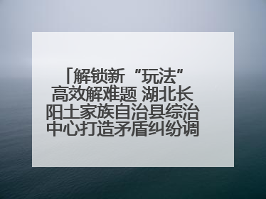 解锁新“玩法” 高效解难题 湖北长阳土家族自治县综治中心打造矛盾纠纷调处“终点站”