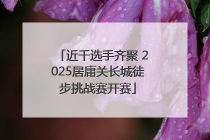 近千选手齐聚 2025居庸关长城徒步挑战赛开赛