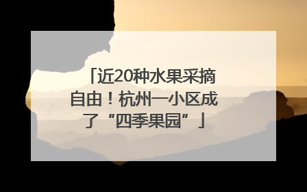 近20种水果采摘自由！杭州一小区成了“四季果园”