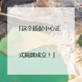 这个质促中心正式揭牌成立！