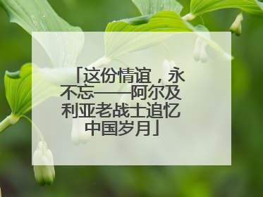 这份情谊，永不忘——阿尔及利亚老战士追忆中国岁月