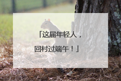 这届年轻人，回村过端午！