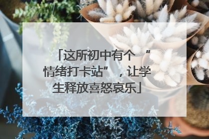 这所初中有个 “情绪打卡站”，让学生释放喜怒哀乐