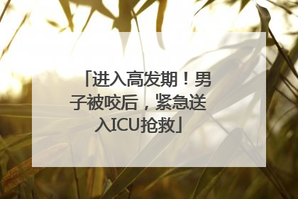 进入高发期！男子被咬后，紧急送入ICU抢救