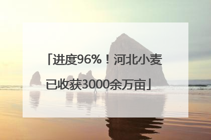 进度96%！河北小麦已收获3000余万亩