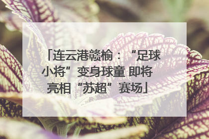 连云港赣榆：“足球小将”变身球童 即将亮相“苏超”赛场