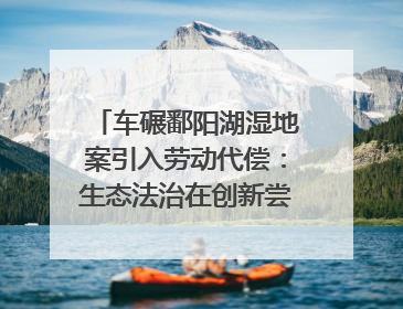 车碾鄱阳湖湿地案引入劳动代偿：生态法治在创新尝试｜有一说一