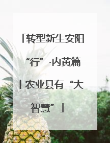 转型新生安阳“行”·内黄篇丨农业县有“大智慧”