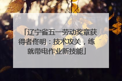 辽宁省五一劳动奖章获得者佟明：技术攻关，练就带电作业新技能