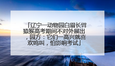 辽宁一动物园白眉长臂猿猴高考期间不对外展出，园方：它们一高兴就喜欢鸣叫，怕影响考试