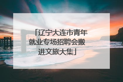 辽宁大连市青年就业专场招聘会搬进文旅大集