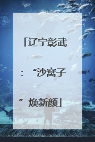 辽宁彰武：“沙窝子”焕新颜