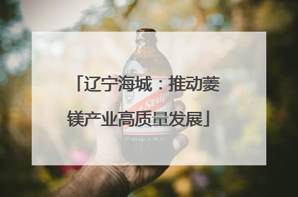 辽宁海城：推动菱镁产业高质量发展