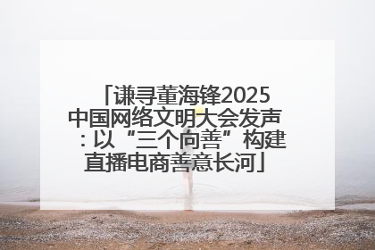 谦寻董海锋2025中国网络文明大会发声：以“三个向善”构建直播电商善意长河