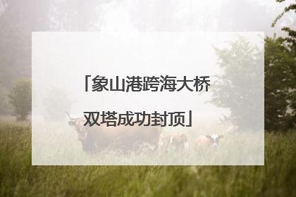 象山港跨海大桥双塔成功封顶