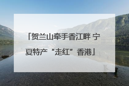 贺兰山牵手香江畔 宁夏特产“走红”香港