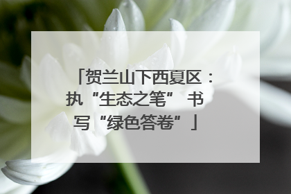 贺兰山下西夏区：执“生态之笔” 书写“绿色答卷”