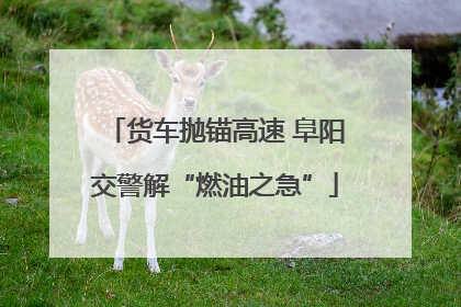 货车抛锚高速 阜阳交警解“燃油之急”