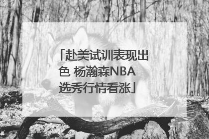 赴美试训表现出色 杨瀚森NBA选秀行情看涨