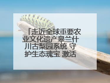 走近全球重要农业文化遗产皋兰什川古梨园系统 守护生态瑰宝 激活发展动能