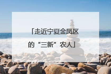 走近宁夏金凤区的“三新”农人