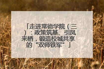 走进常德学院（三）：政策筑基、引凤来栖，锻造校城共享的“双师铁军”