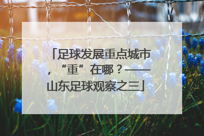 足球发展重点城市，“重”在哪？——山东足球观察之三
