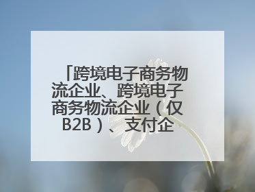 跨境电子商务物流企业、跨境电子商务物流企业（仅B2B）、支付企业备案操作指南