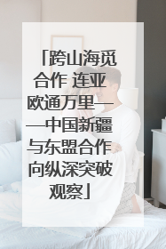 跨山海觅合作 连亚欧通万里——中国新疆与东盟合作向纵深突破观察