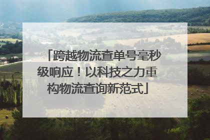 跨越物流查单号毫秒级响应！以科技之力重构物流查询新范式