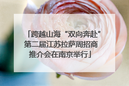 跨越山海“双向奔赴” 第二届江苏拉萨周招商推介会在南京举行