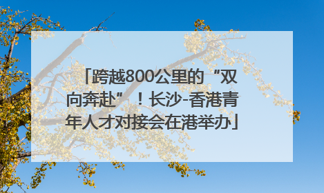 跨越800公里的“双向奔赴”！长沙-香港青年人才对接会在港举办