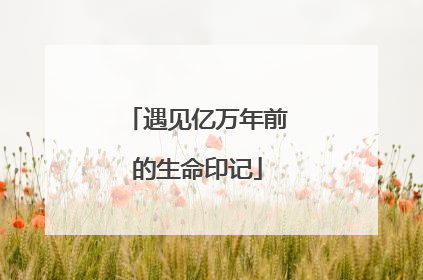 遇见亿万年前的生命印记