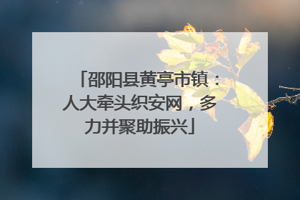 邵阳县黄亭市镇：人大牵头织安网，多力并聚助振兴