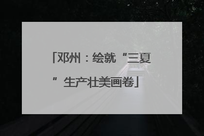 邓州：绘就“三夏”生产壮美画卷