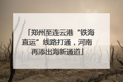 郑州至连云港“铁海直运”线路打通，河南再添出海新通道
