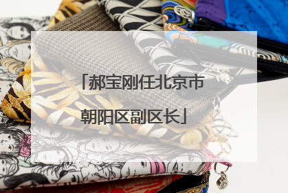 郝宝刚任北京市朝阳区副区长