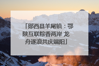 郧西县羊尾镇：鄂陕互联粽香两岸 龙舟逐浪共庆端阳