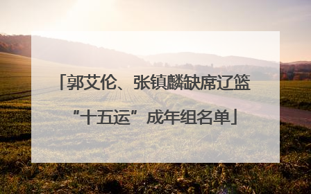 郭艾伦、张镇麟缺席辽篮“十五运”成年组名单