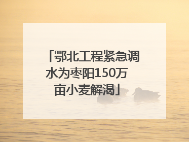 鄂北工程紧急调水为枣阳150万亩小麦解渴