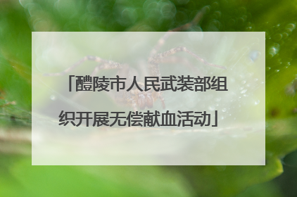 醴陵市人民武装部组织开展无偿献血活动