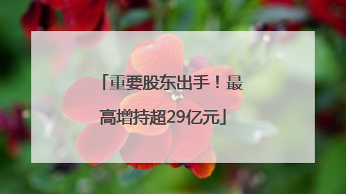 重要股东出手！最高增持超29亿元