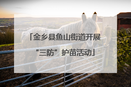 金乡县鱼山街道开展“三防”护苗活动